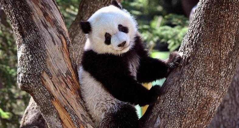 Zoo Aquarium de Madrid