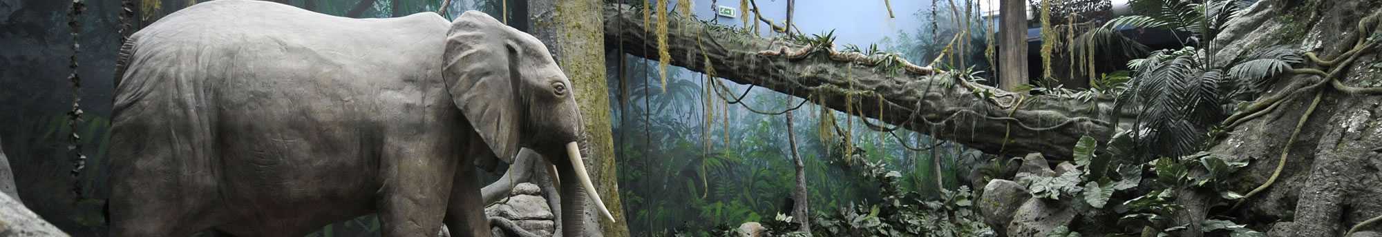 Hotel + Bilhetes World of Discoveries